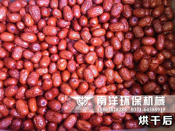 干紅棗