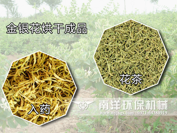 金銀花
