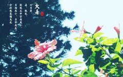 <b>夏送清涼:市工會(huì)領(lǐng)導(dǎo)蒞臨南洋環(huán)保慰問(wèn)職工</b>
